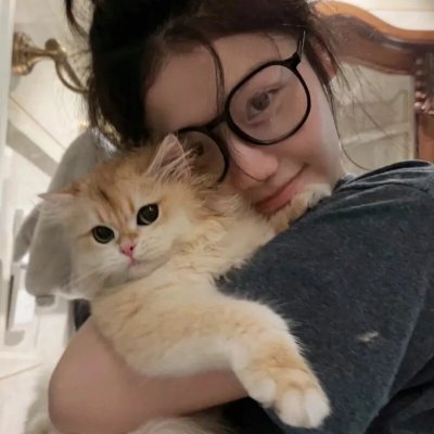 大兵金宝历险记