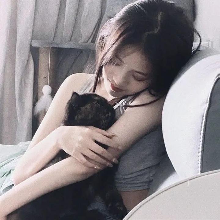 紫禁秘录